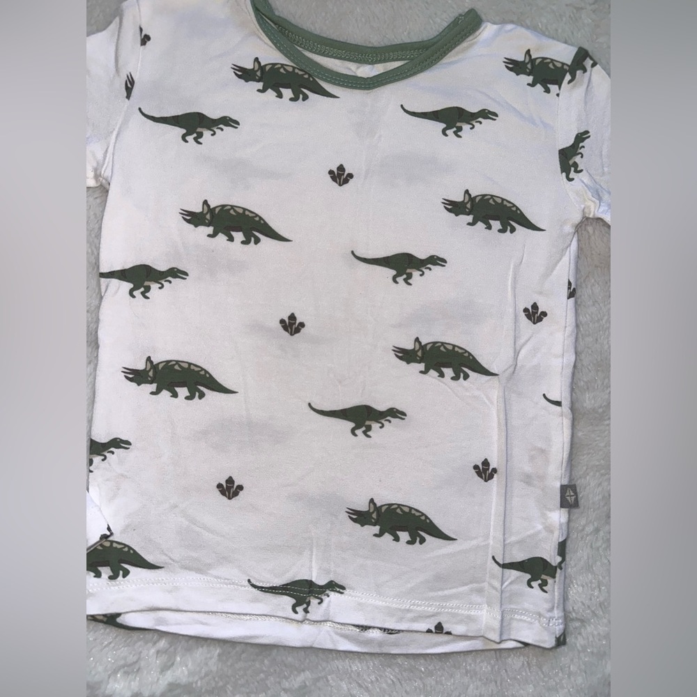 🦖Kyte Set🦖 - Picture 3 of 5